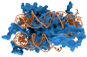 800px-Nucleosome1